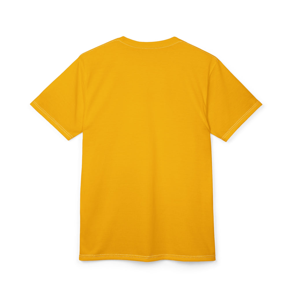Invade and Persuade RON Tee